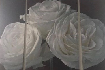 White roses