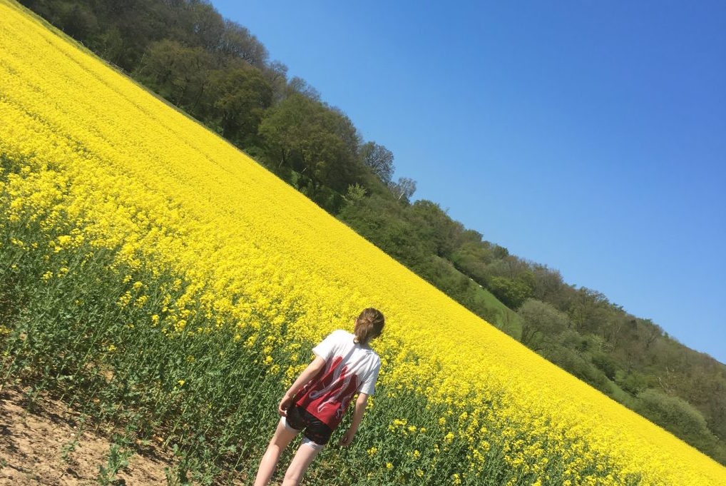 Photo of a young women in a field full of flowers