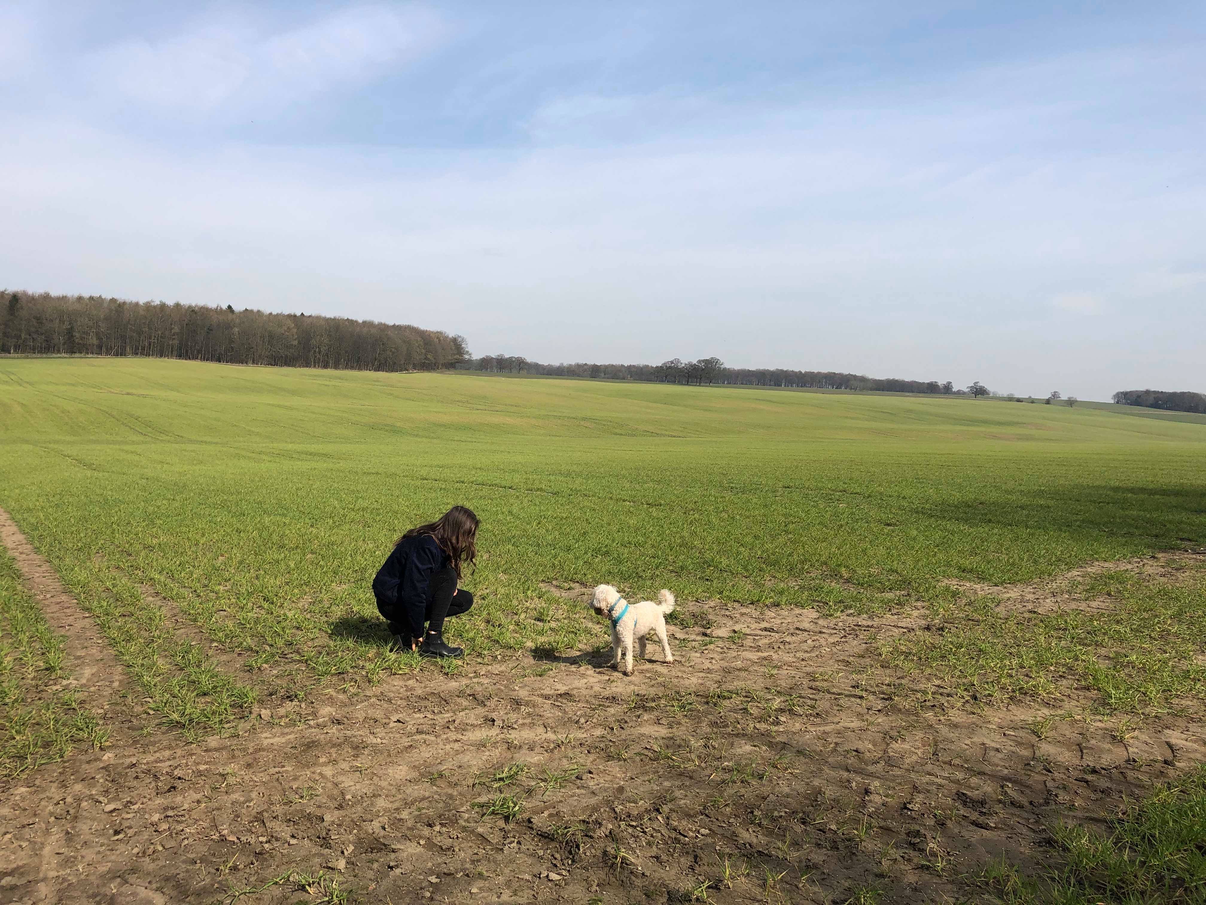 girl crouching in field playing with cute white dog